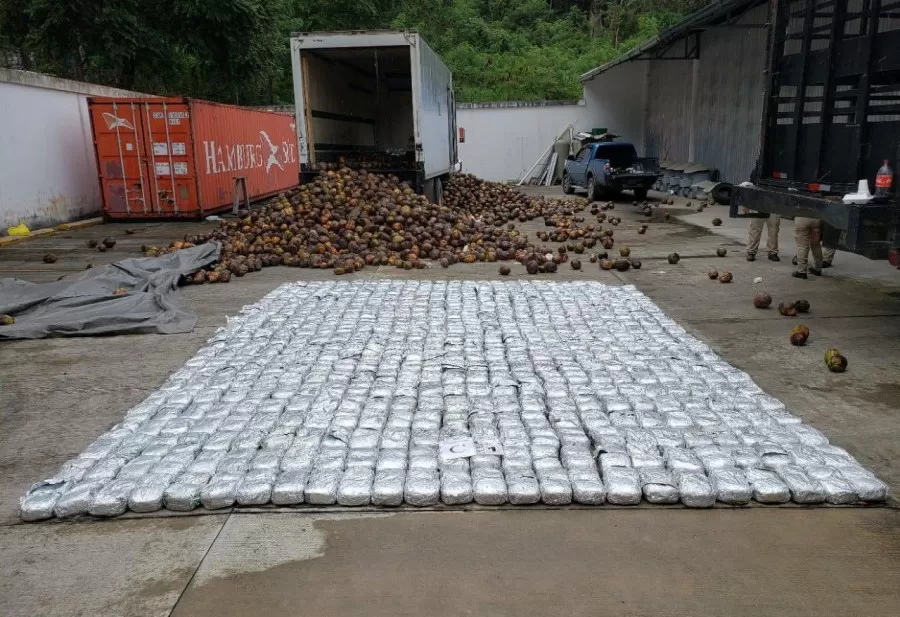 Con 498 paquetes de marihuana ocultos entre cargamento de cocos, ATIC detiene a dos personas 01