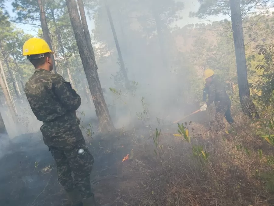 Operaciones de control de incendios Forestales en el Cerro Canta Gallo en Francisco Morazán 01