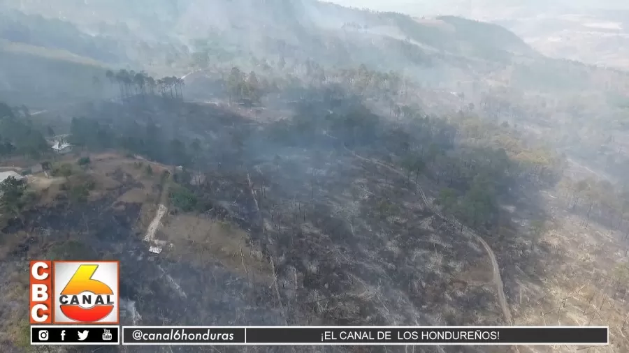 Miguel Briseño “Cúpula empresarial estaría detrás de grandes incendios en zonas protegidas”