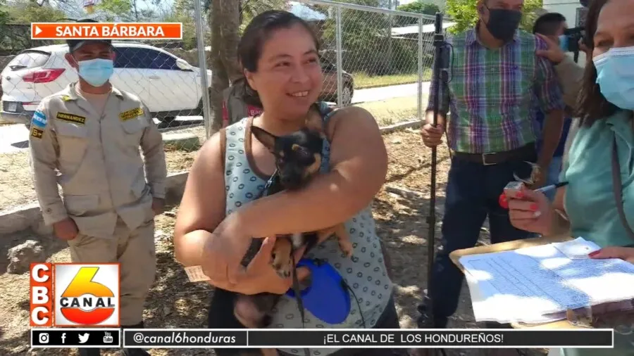 60 mil gatos y perros se vacunaran en Santa Bárbara
