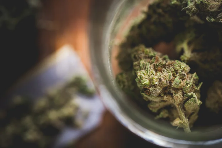 El cannabis puede alterar la química cerebral de una persona de forma permanente