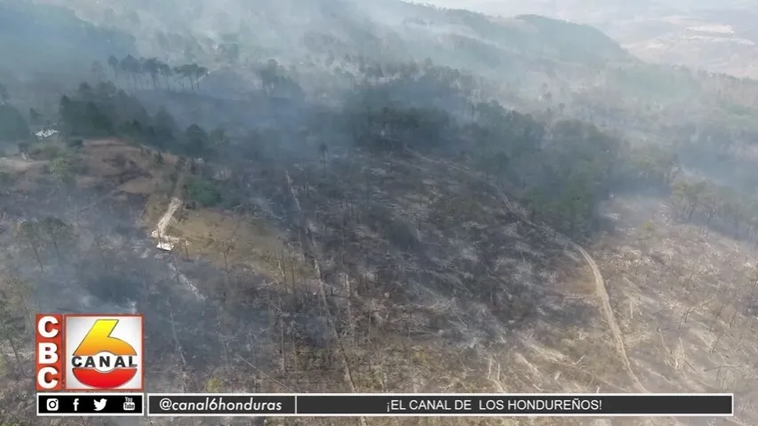 Secretaria de reforestación y miambiente solicita a las FF.AA. dar respuesta inmediata a incendios forestales