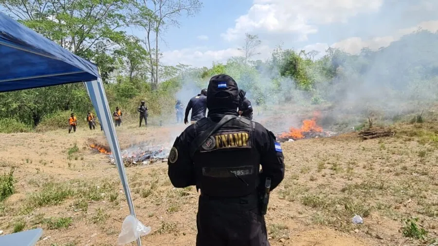Cerca de una tonelada de droga es incinerada por la FNAM en el norte del país