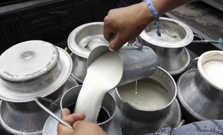 Gobierno sugiere de L 11 en el precio del litro de leche