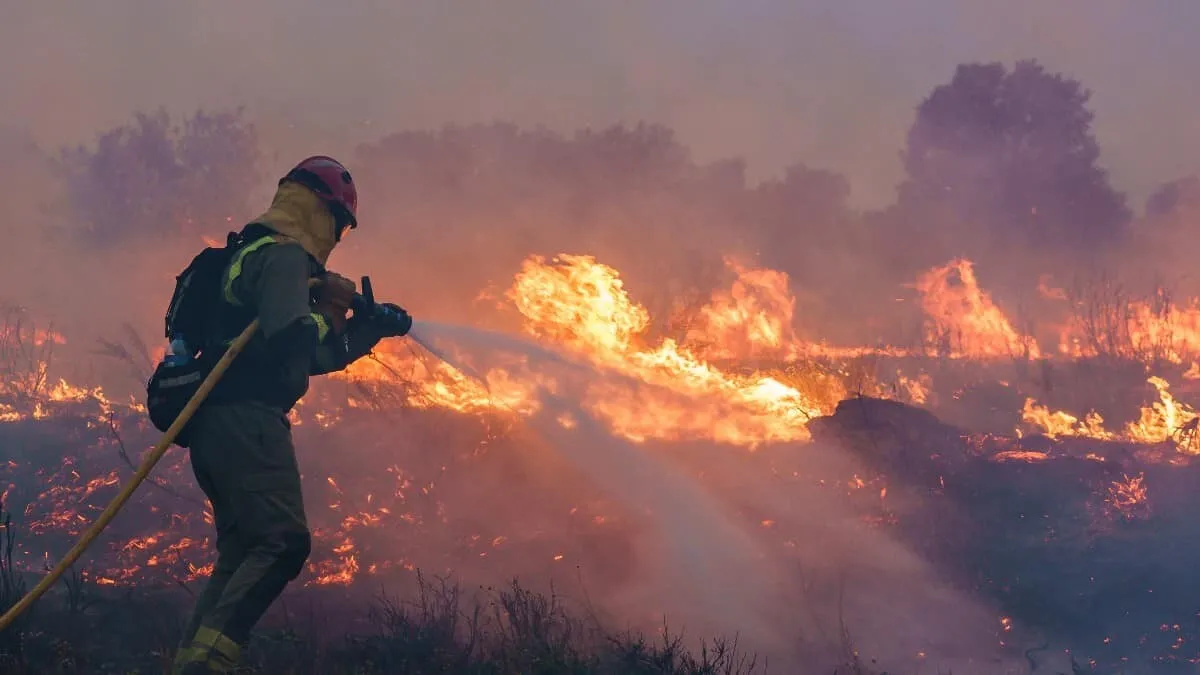 40 mil hectáreas de bosques han sido consumidas por incendios en España