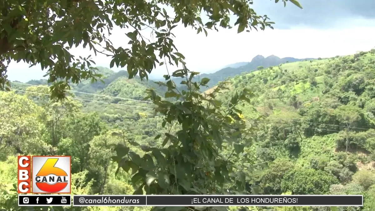 Honduras cuenta con el pulmón de Centroamérica urge de políticas de protección ambiental