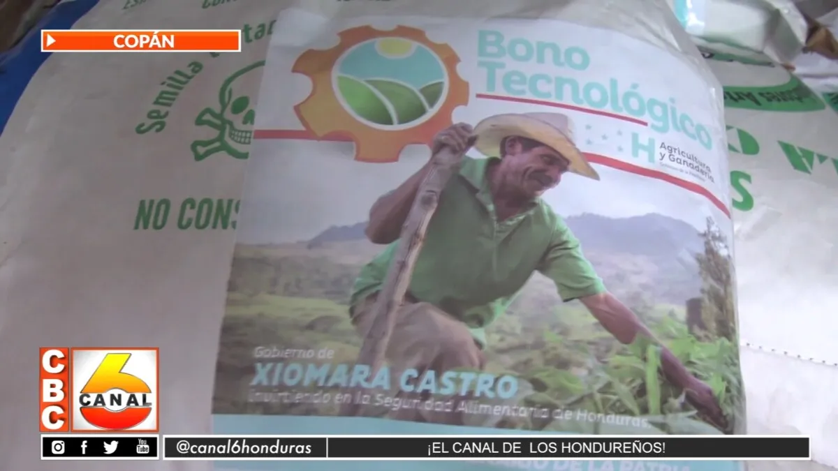 Ocho mil productores reciben bono tecnológico en Copán