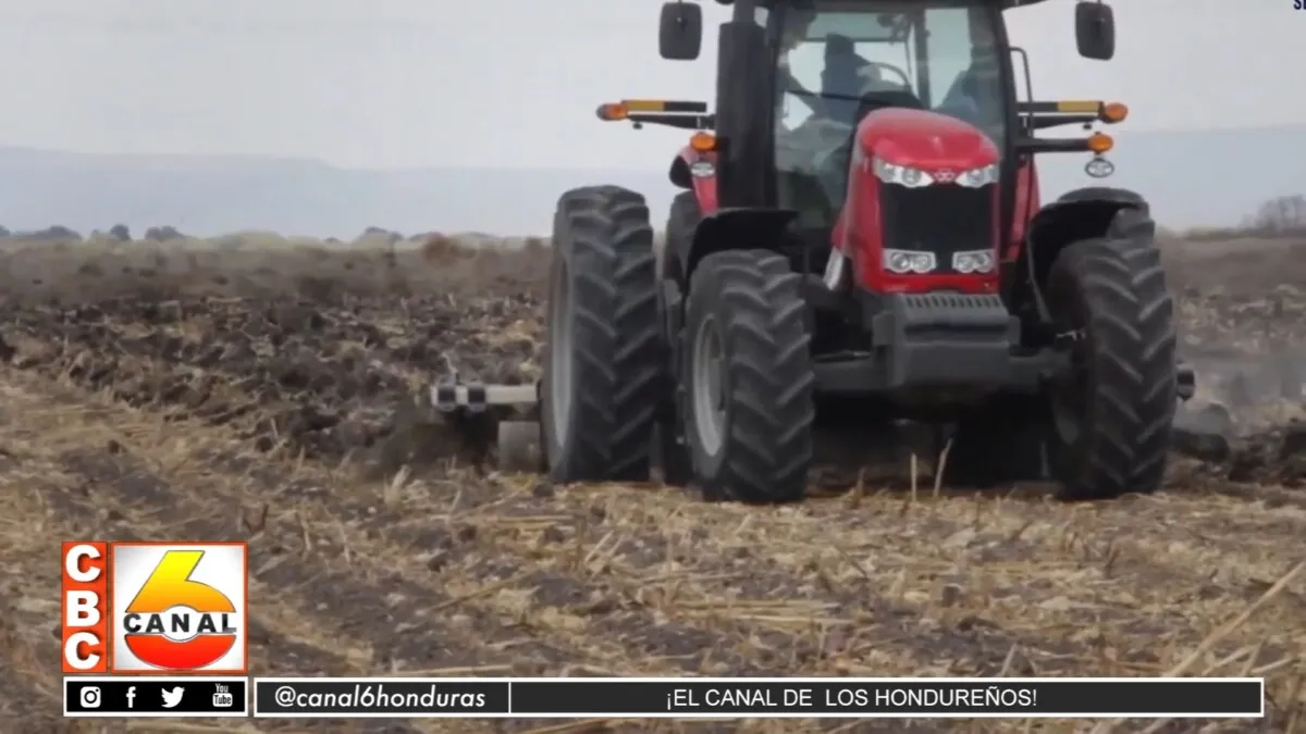 Precio del trigo y de la urea reducen al liberarse las exportaciones de Ucrania