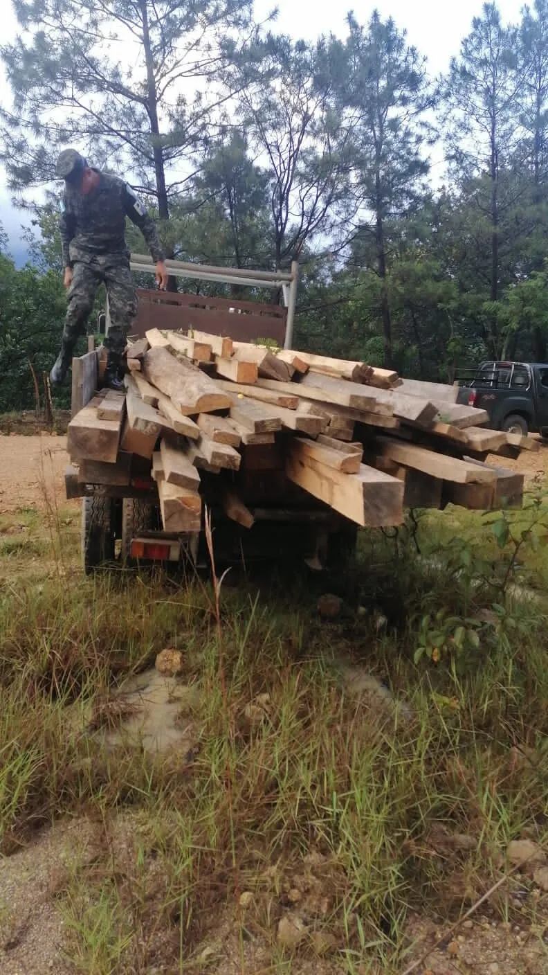 Aseguramiento de vehículos transportando madera ilegal