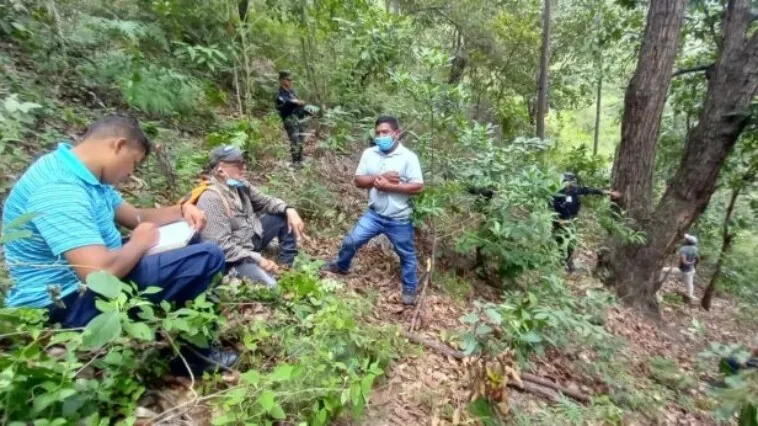 Dictan de formal procesamiento a ciudadano por corte de árboles en El Picacho