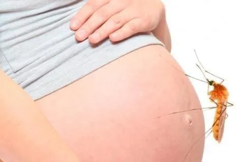 El virus del Zika en mujeres embarazadas