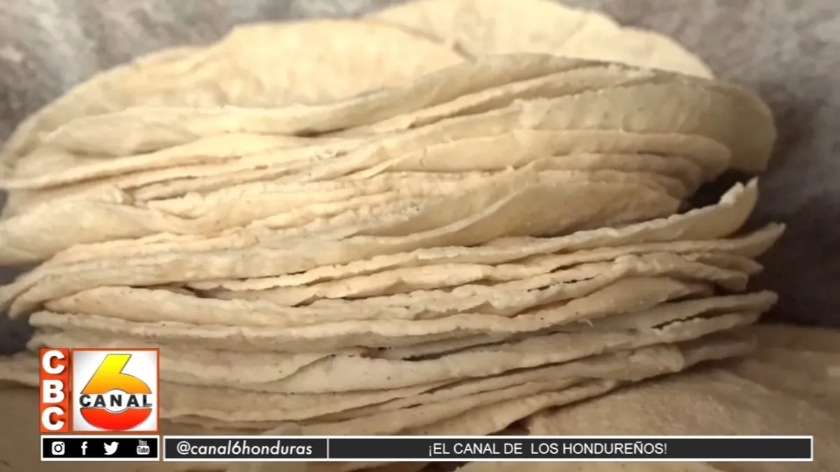Especulación en el precio de la tortilla preocupa a hondureños