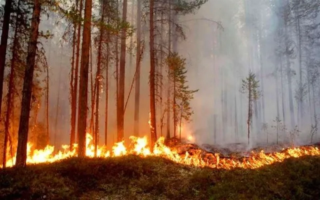 Lanzan campaña contra Incendios Interfaz para zonas urbano forestal-agrícola
