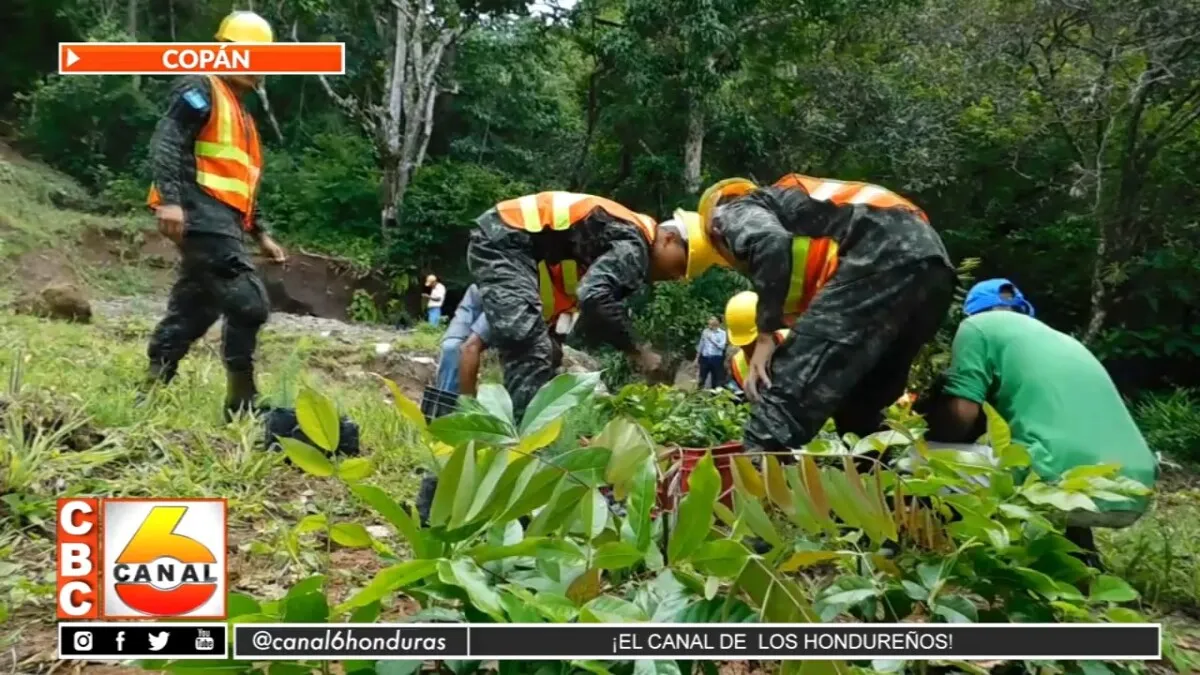 Realizan campaña de reforestación en el Municipio de Veracruz, Copán