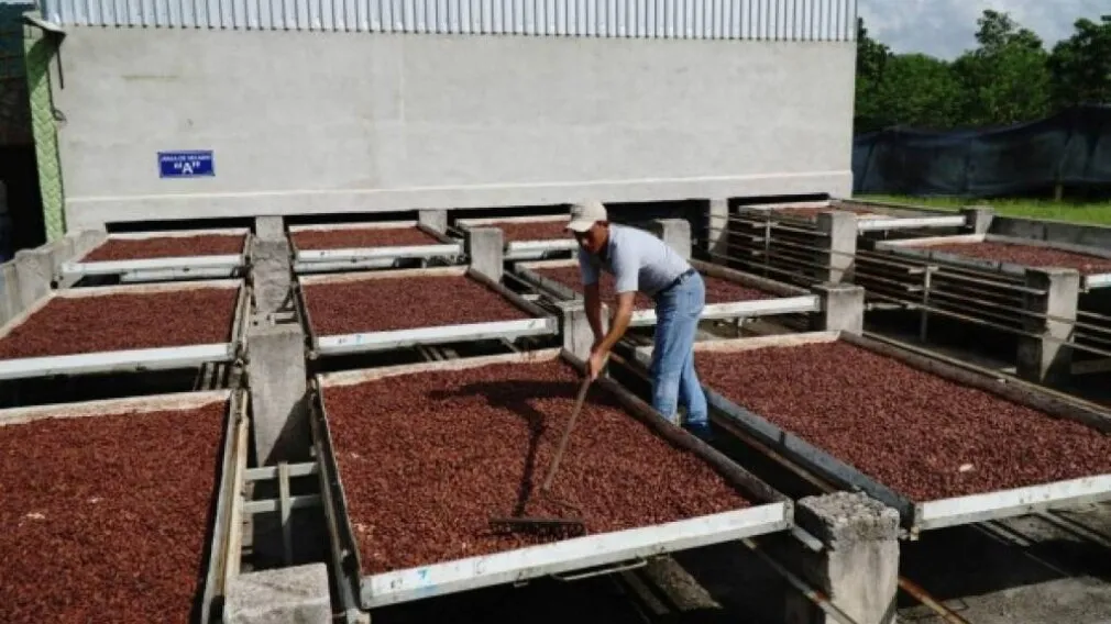 Honduras es el segundo mayor exportador de cultivos orgánicos