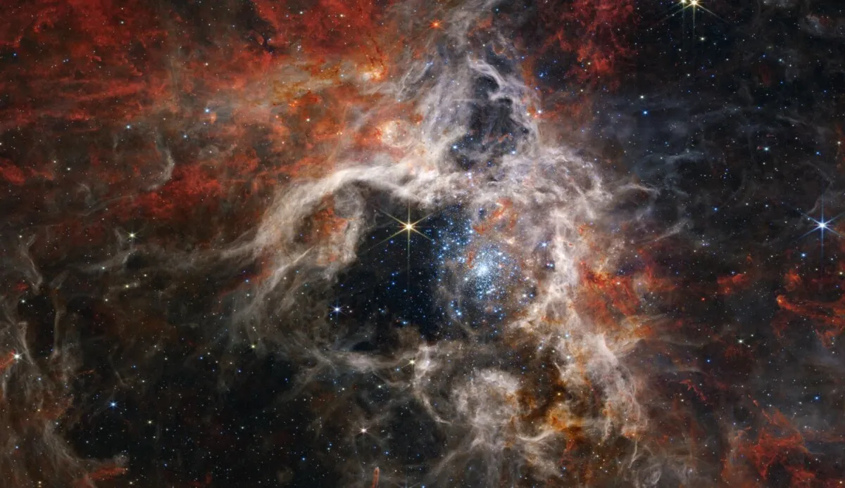 Una tarántula cósmica es captada por el telescopio Webb de la NASA