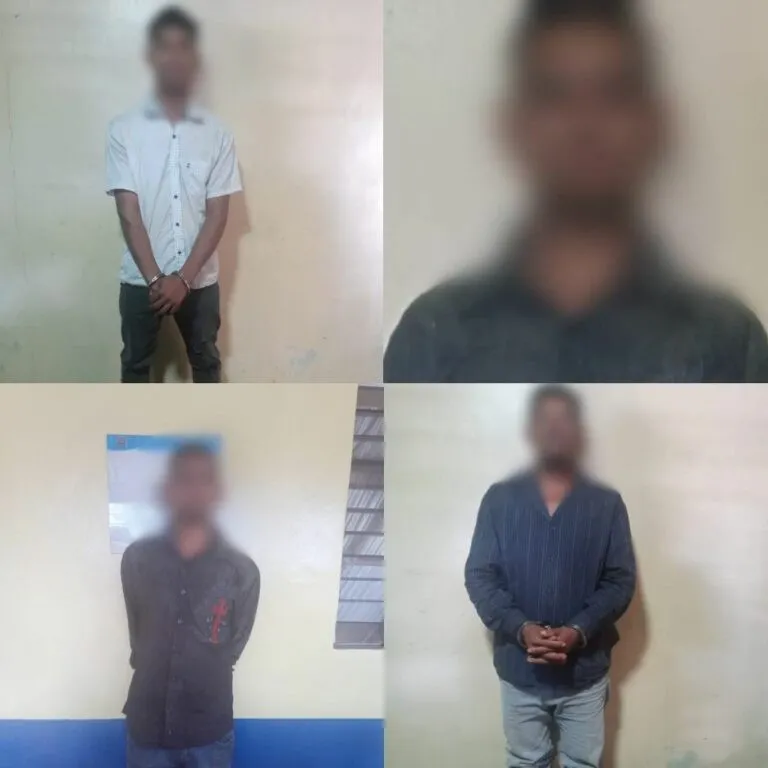 Cuatro detenidos por allanamientos en Trojes, El Paraís
