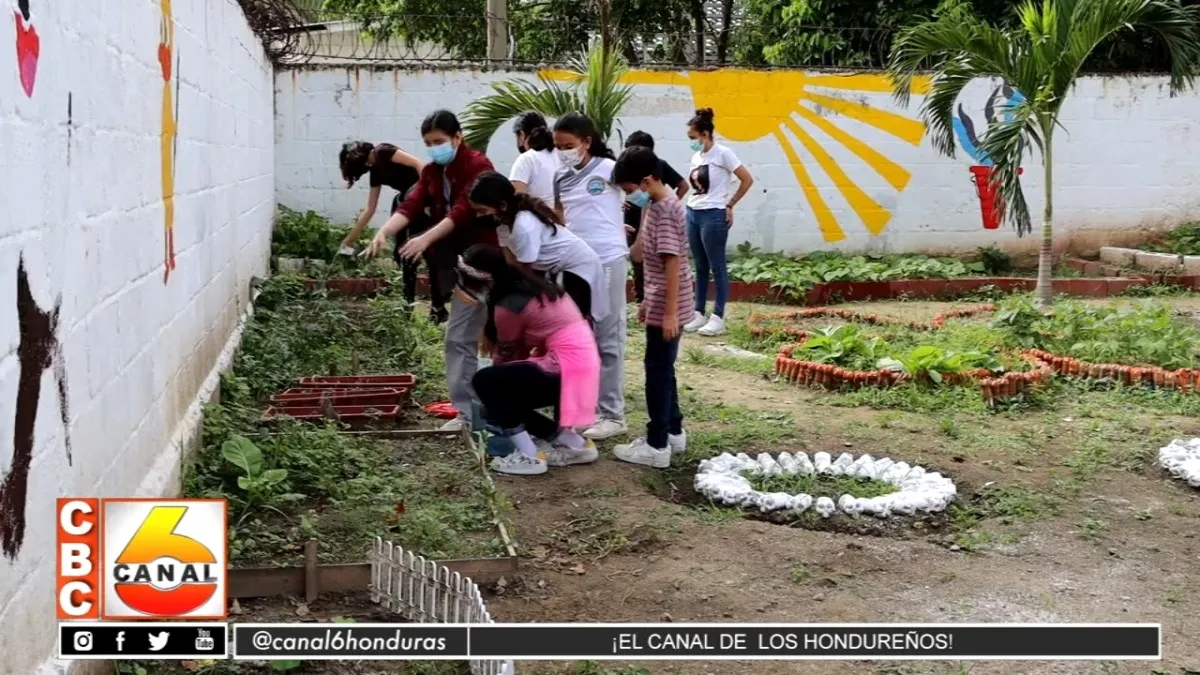 Programa de huertos escolares en San Pedro Sula se encuentra en la etapa final
