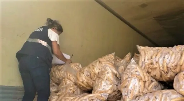 La ARSA inspecciona importación de yuca nicaragüense junto a SEPA