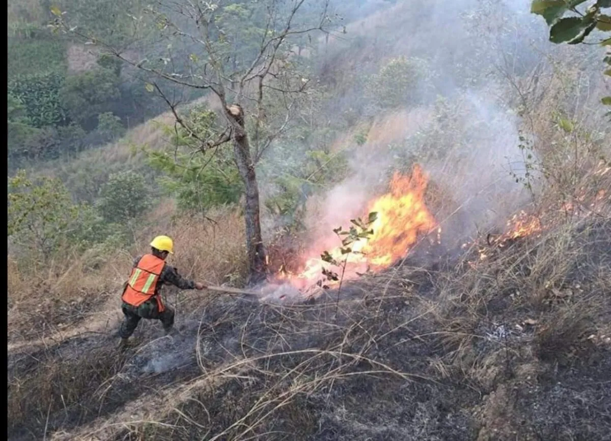 Acciones de prevención previo a la temporada de incendios forestales