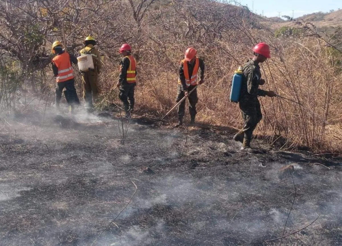 Combaten incendio forestal en Choluteca