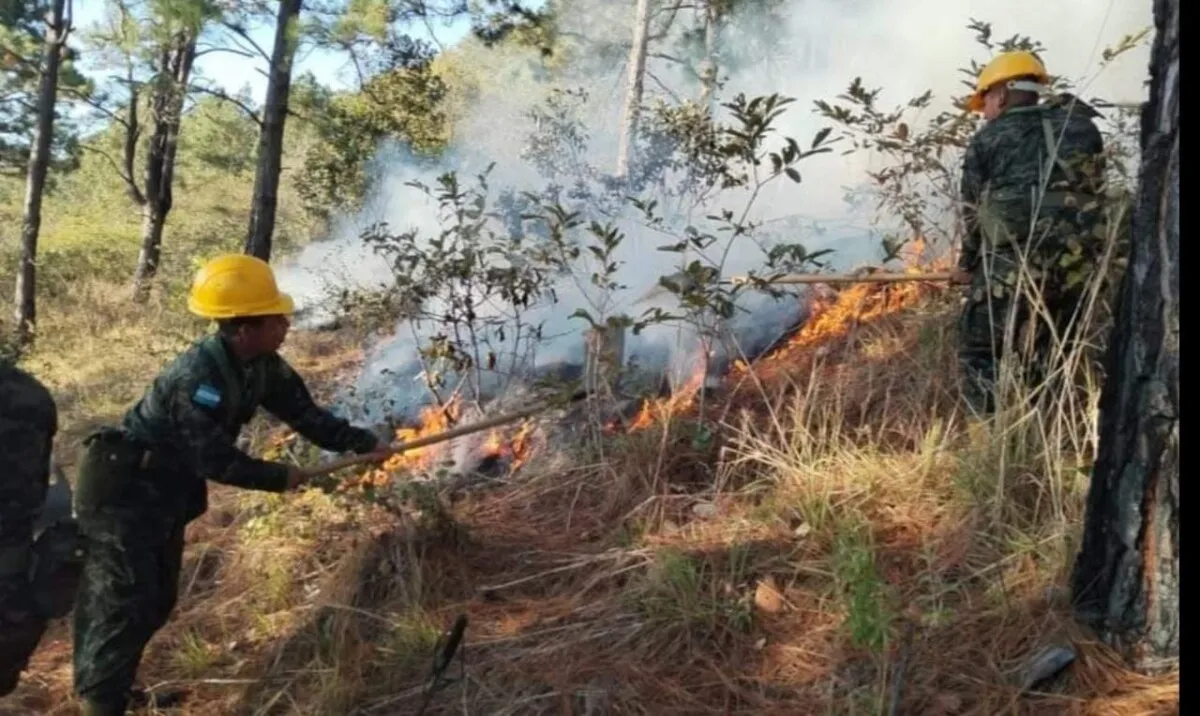 Combaten incendio forestal en la comunidad de La Culebrina, La Paz, La Paz