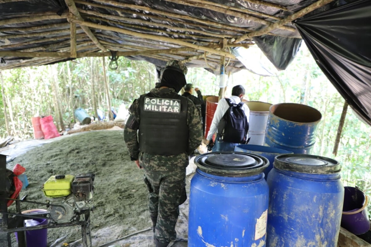 Erradicación de plantación de droga y desmantelamiento de narco laboratorio