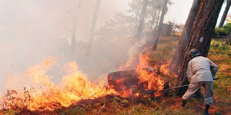 ICF implementa la herramienta SMARTFIRE para la estimación de áreas de bosque afectadas por incendios forestales