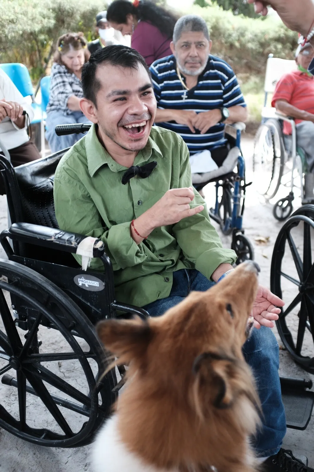 La SEDESOL contribuye a llevar atención asistida con animales terapéuticos a residentes del Asilo de Inválidos del Hospital san Felipe