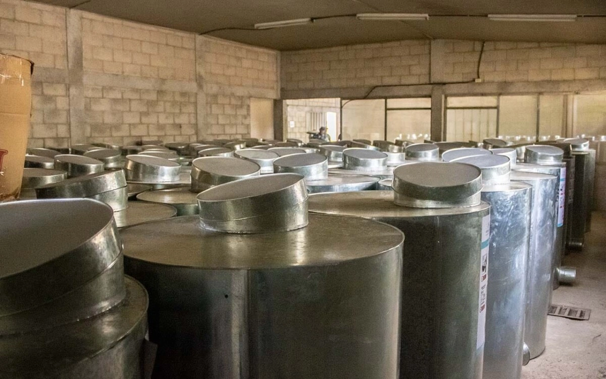 Gobierno entregó 277 silos metálicos productores de granos básicos