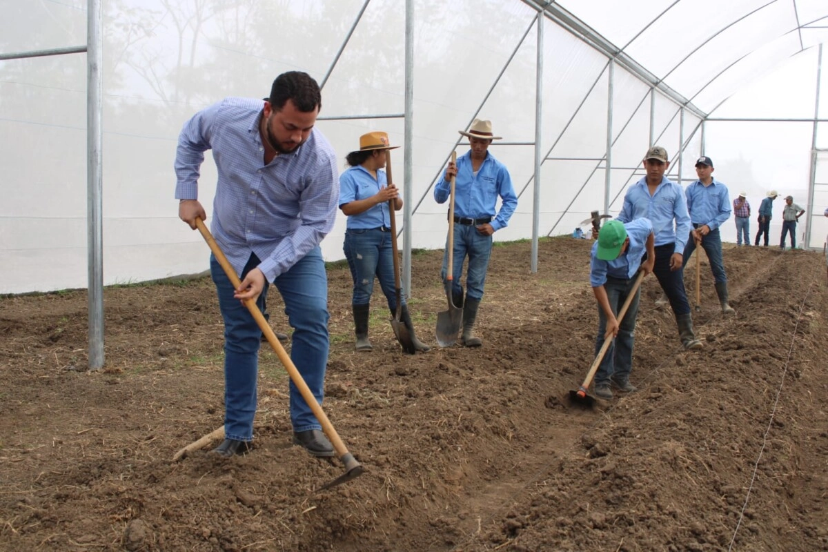 Gobierno inaugura invernadero y sistema de riego en Macuelizo, Santa Bárbara, beneficiando 114 familias