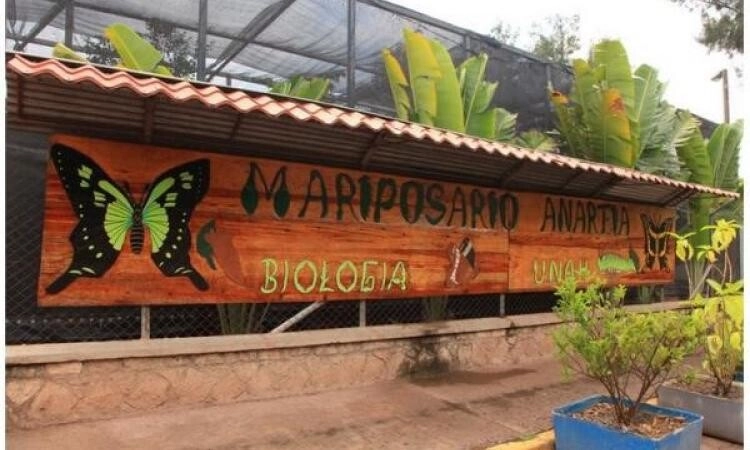 Mariposario Anartia reabre sus puertas al público este primer PAC 2023