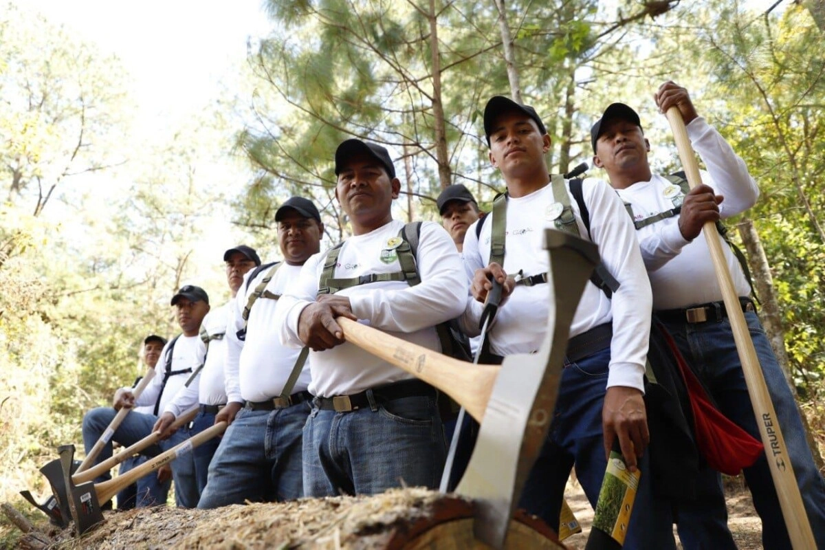 Nuevo equipo Guardabosques del Distrito Central al servicio de la protección de los recursos naturales