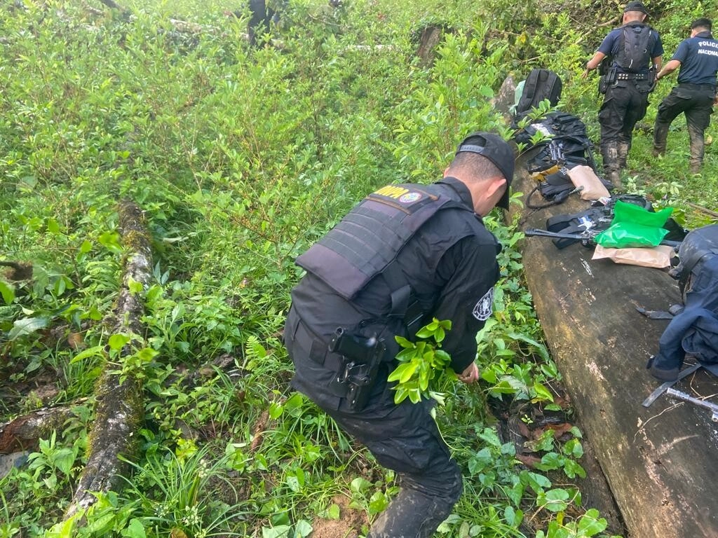 Policía Nacional ubica sembradío de arbustos de coca en Catacamas y asegura un narcolaboratorio