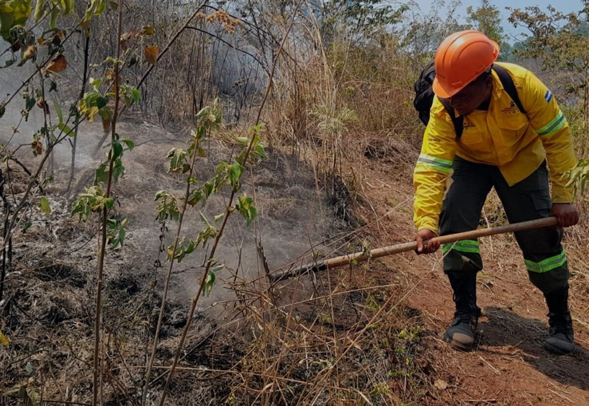 Con Helicópteros y Batallones Verdes contrarrestan incendio forestal de La Tigra 01