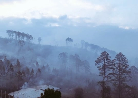 Incendio forestal en el Cerro el Trigo