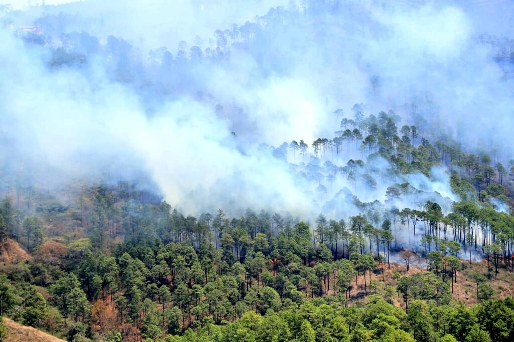 Mediante trabajo coordinado se logra controlar incendio forestal El Trigo
