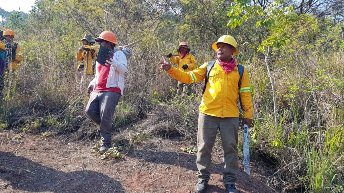 Mediante trabajo coordinado se logra controlar incendio forestal El Trigo 02
