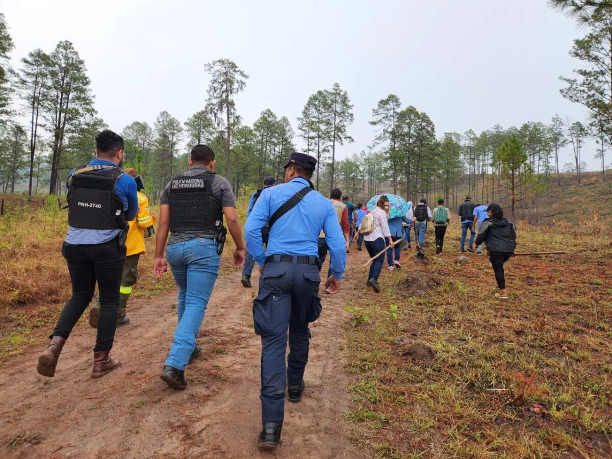 Agentes de diferentes Direcciones de la UDEP-15 participarón en la siembra de árboles en el municipio de la Unión Olancho