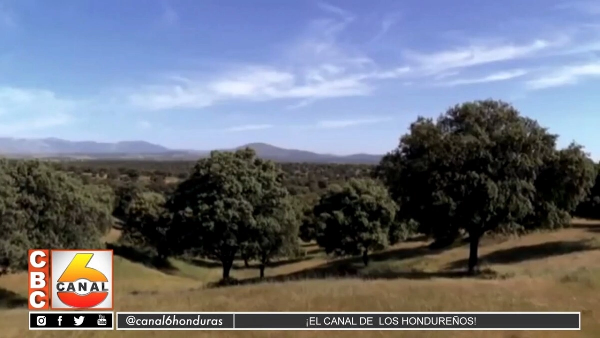 España y Honduras desarrollan Foro Infantil sobre el cambio climático