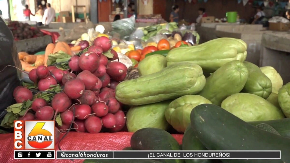 Productores anuncian rebajas en el costo de alimentos en el mercado Kennedy