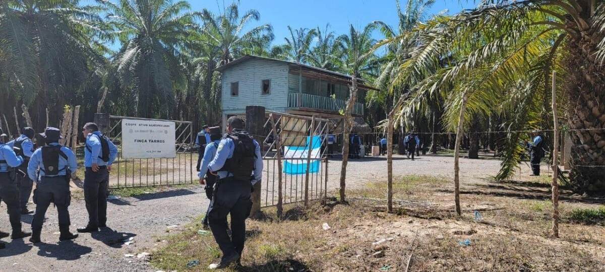 Policía Nacional ejecuta desalojos en fincas de palma africana invadidas en las aldeas Chapagua y Charros de Trujillo, Colón 01