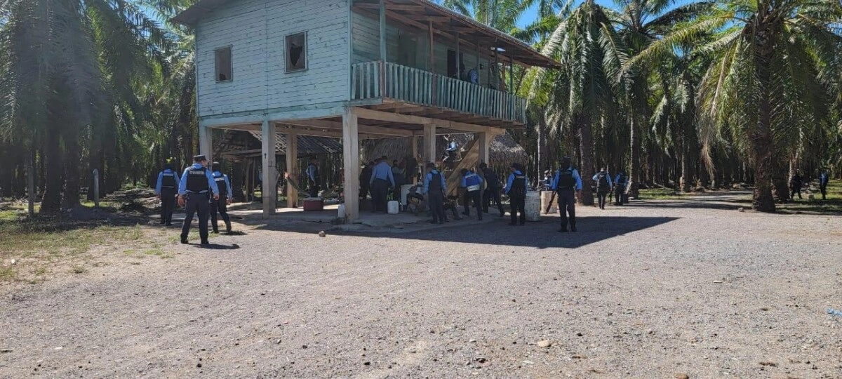 Policía Nacional ejecuta desalojos en fincas de palma africana invadidas en las aldeas Chapagua y Charros de Trujillo, Colón 04