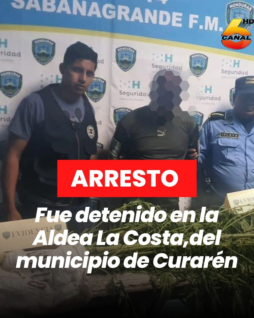 Policía Nacional detiene individuo con plantas de supuesta marihuana en Francisco Morazán