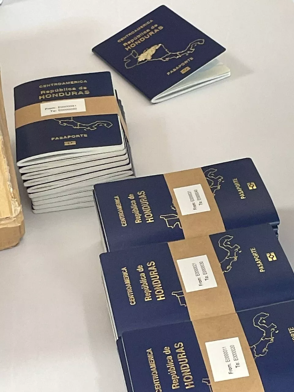 Inm Atenderá El Próximo Lunes A Ciudadanos Que Soliciten El Pasaporte Electrónico En Roatán