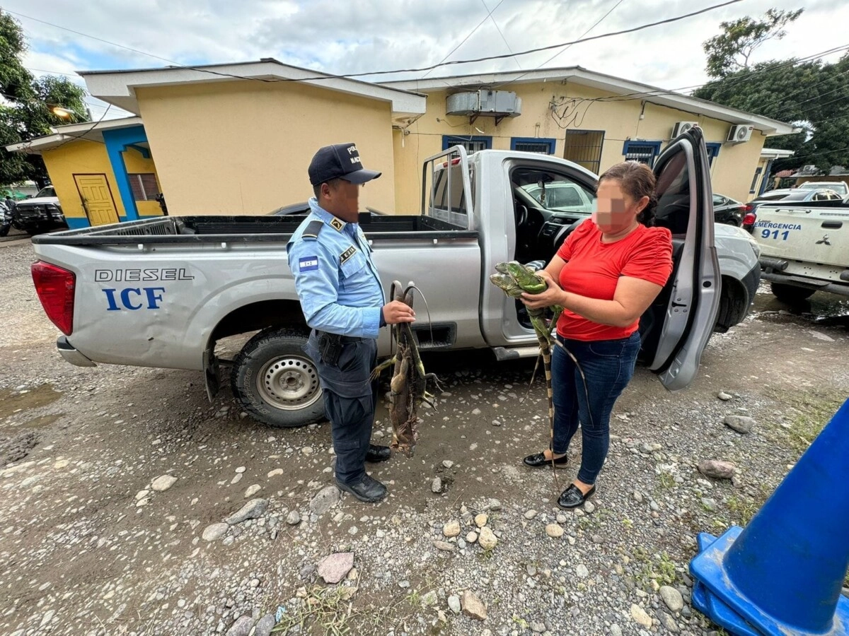 Policía De La Ceiba Detiene Traficante De Vida Silvestre Y Rescata Especies