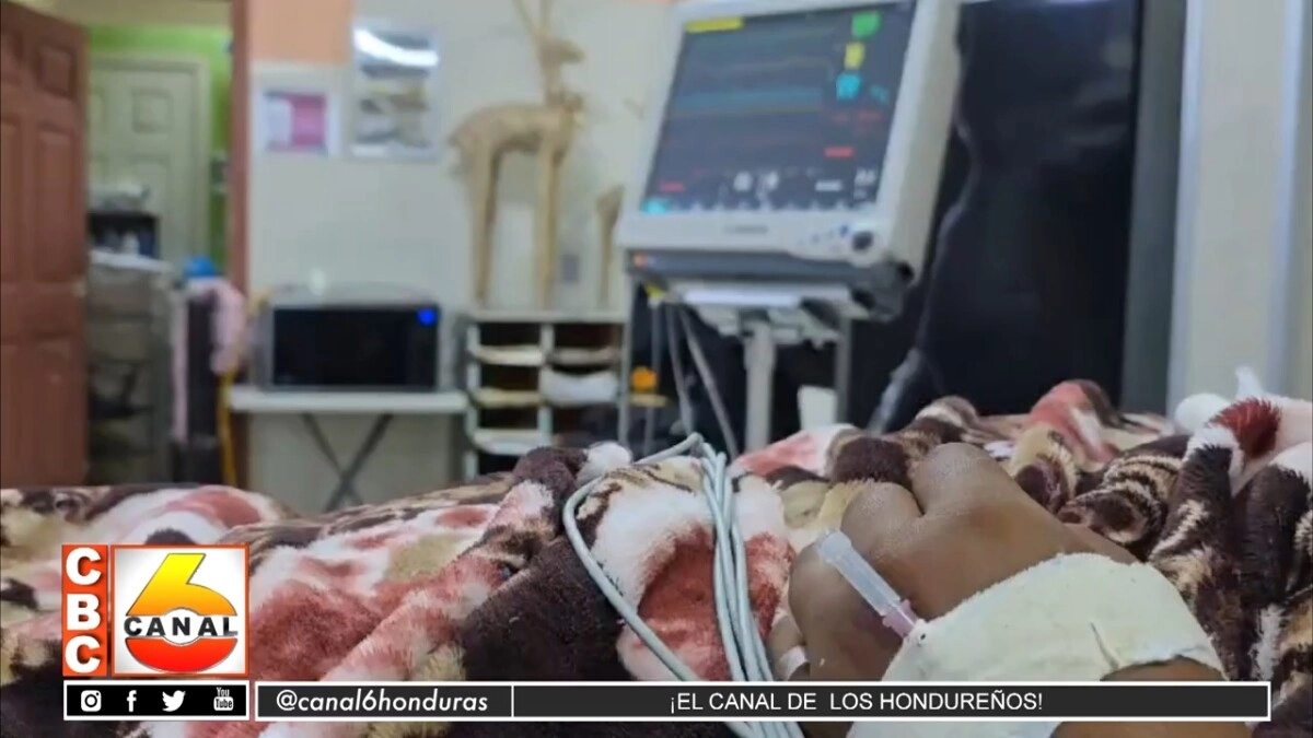 Menor De 15 Años Es Hospitalizada Tras Recibir Herida De Bala Por Su Pareja