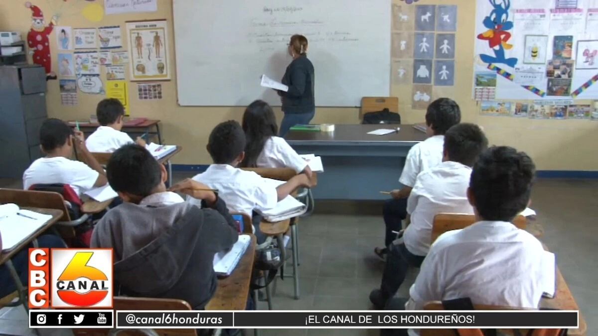 Asj Contabiliza Un Total De 12 Millones De Infantes Fuera Del Sistema Educativo