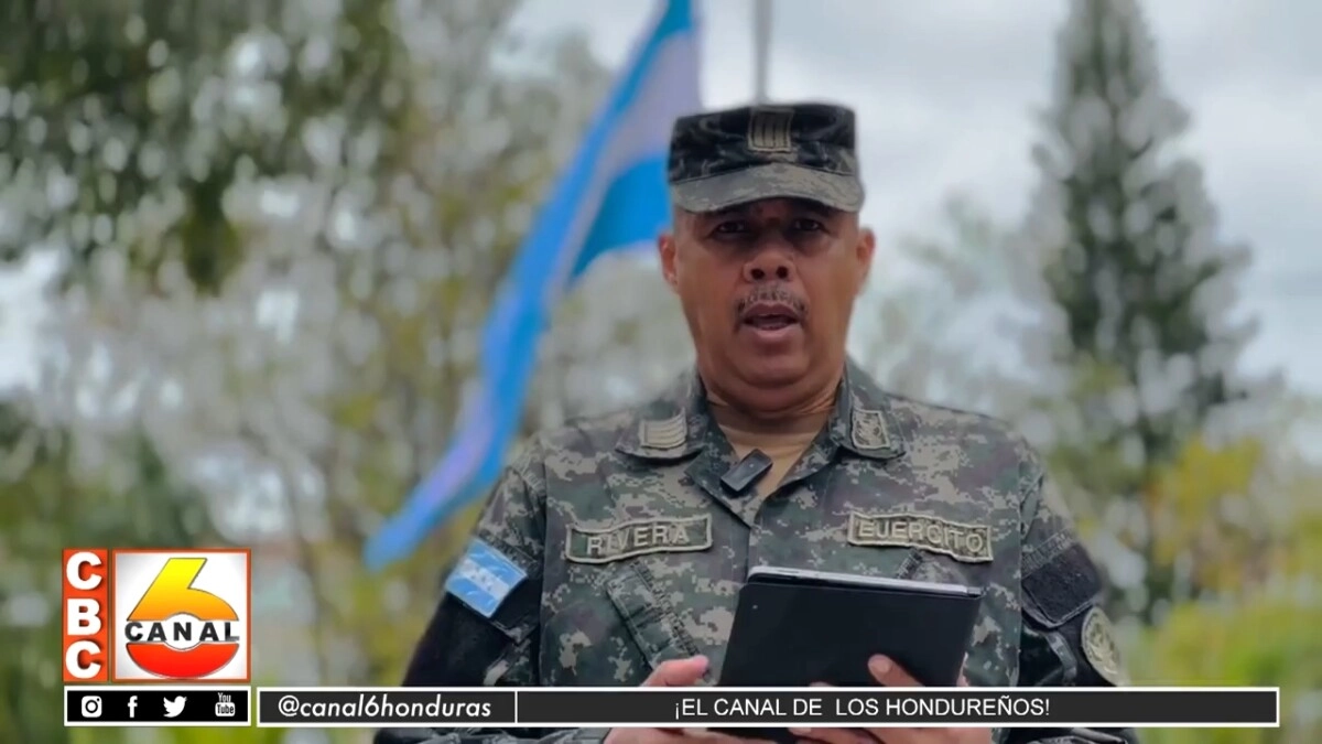 Fuerzas Armadas Aseguran 2 Plantaciones Con 6500 Arbustos De Hoja De Coca En Atlantida