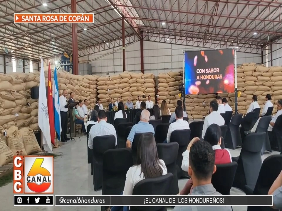 Honduras Envia 43 Contenedores De Cafe De Alta Calidad A China